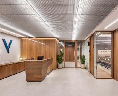 ויולה | עיצוב ותכנון - מיכי סתר |  צילום - עמית גושר 