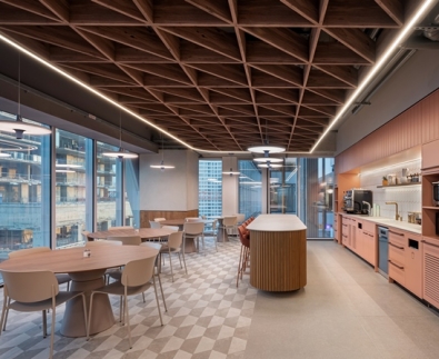 ויולה | עיצוב ותכנון - מיכי סתר |  צילום - עמית גושר 