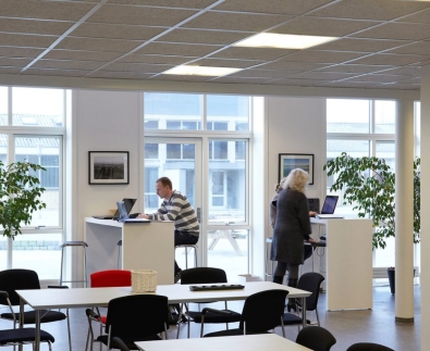 טרולדטקט מונח