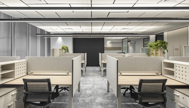 Master Eg - תקרה במראה צף | IBM