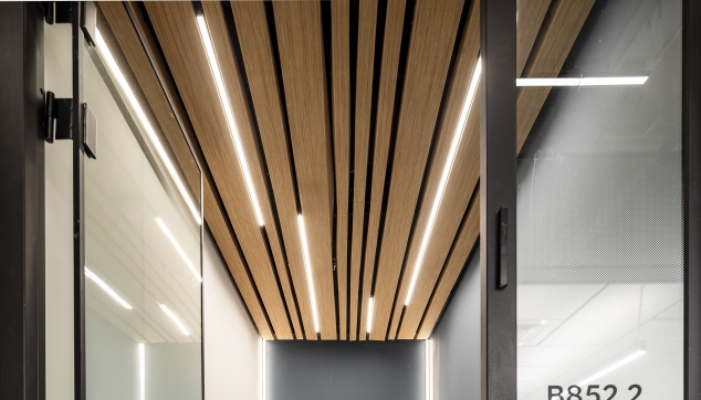 Feltline Corridor | echoshape