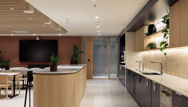 Baffle - אלמנט תקרה ורטיקלי